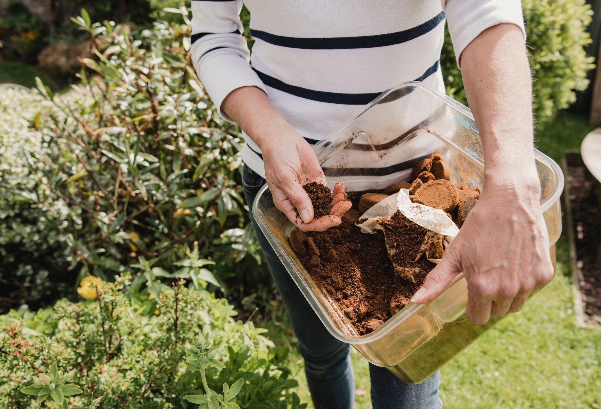 Person hält eine durchsichtige Box mit feuchtem Kaffeesatz im Garten
