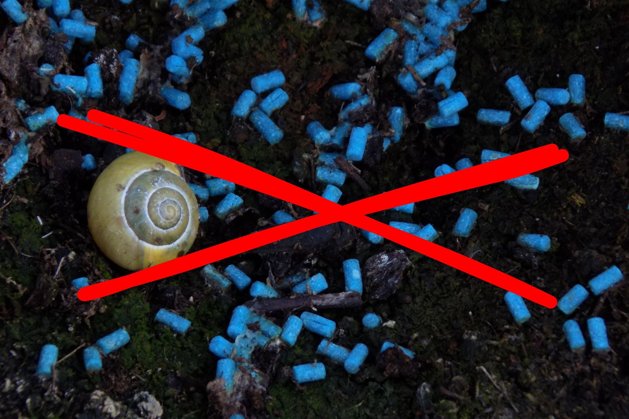 Gelbe Schnecke auf dunklem Boden mit verstreuten blauen Pellets und rotem Kreuz darüber