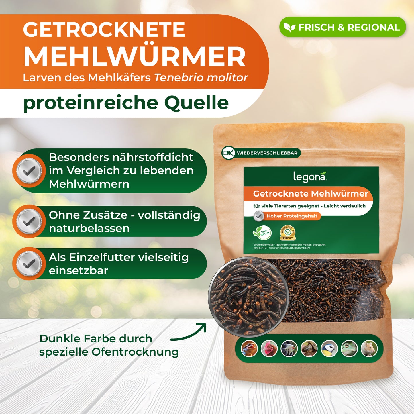 Packung mit getrockneten Mehlwürmern auf hellem Holztisch mit Texten zu Nährstoffdichte, natürlicher Zusammensetzung und vielseitiger Einsetzbarkeit