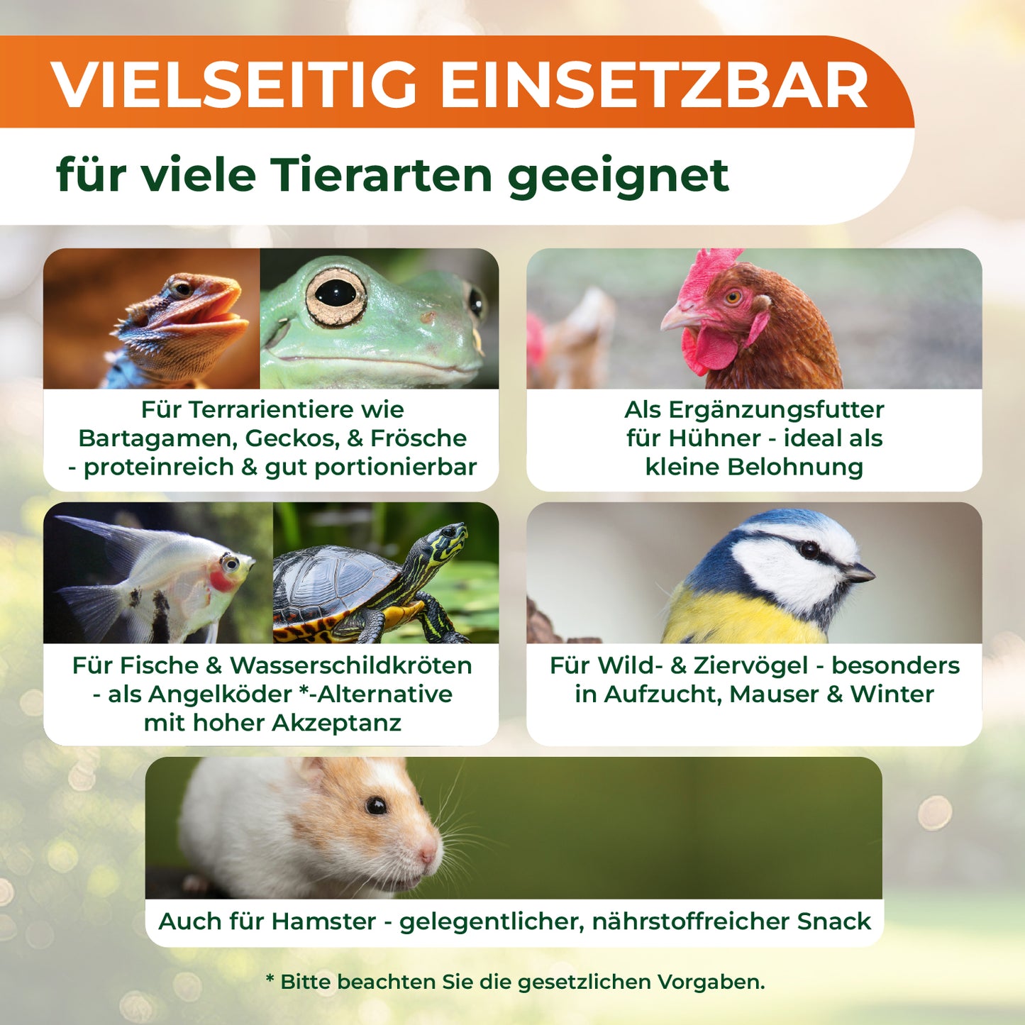 Sieben Fotos mit Texten zu vielseitig einsetzbarem Futter für verschiedene Tierarten: Echse, Frosch, Huhn, Fisch, Schildkröte, Vogel und Hamster