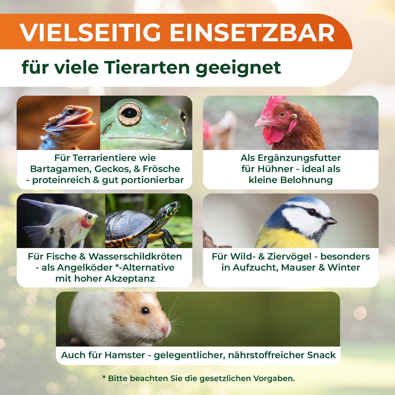 Sieben Fotos mit Texten zu vielseitig einsetzbarem Futter für verschiedene Tierarten: Echse, Frosch, Huhn, Fisch, Schildkröte, Vogel und Hamster