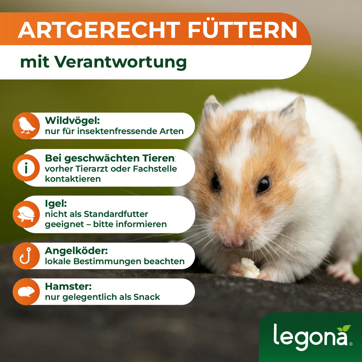 Getrocknete Mehlwürmer