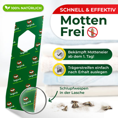 Grüner Trägerstreifen mit Aufdruck 'Legona Schlupfwespen' neben Textfeldern mit den Worten 'Schnell & effektiv Motten Frei' und zwei Aufzählungspunkten sowie einer Vergrößerung von Schlupfwespen in einer Lasche