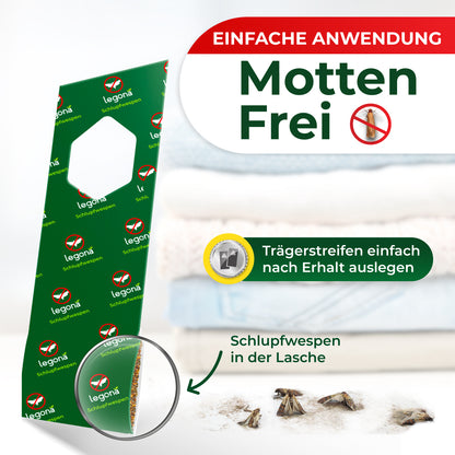 Schlupfwespen gegen Kleidermotten