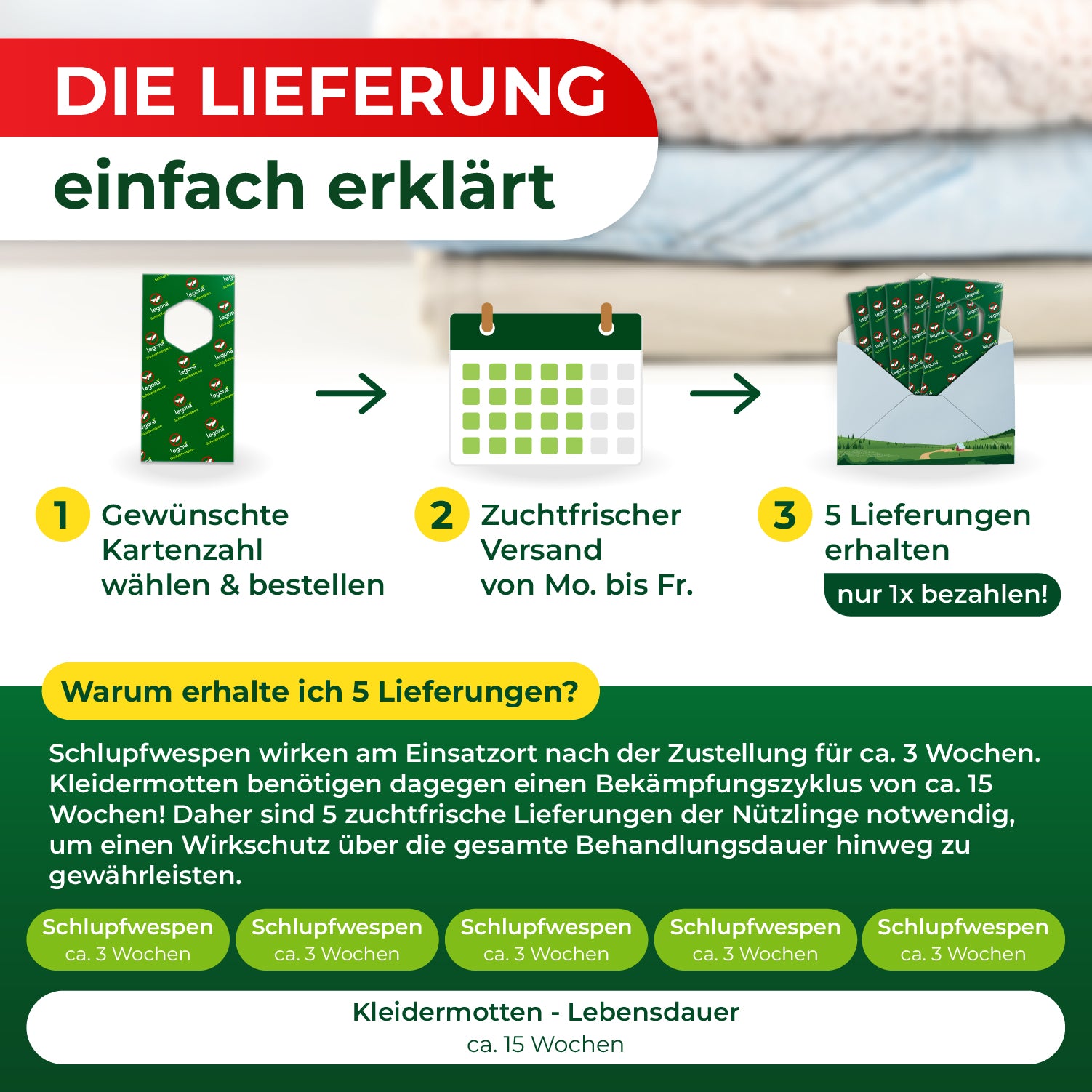 Grafik mit drei Schritten zur Bestellung und Lieferung von Schlupfwespen, darunter Erklärung zur Wirkungsdauer und Lebensdauer von Kleidermotten in Wochen