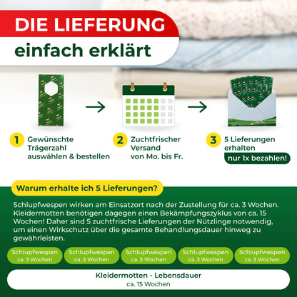 Schlupfwespen gegen Kleidermotten