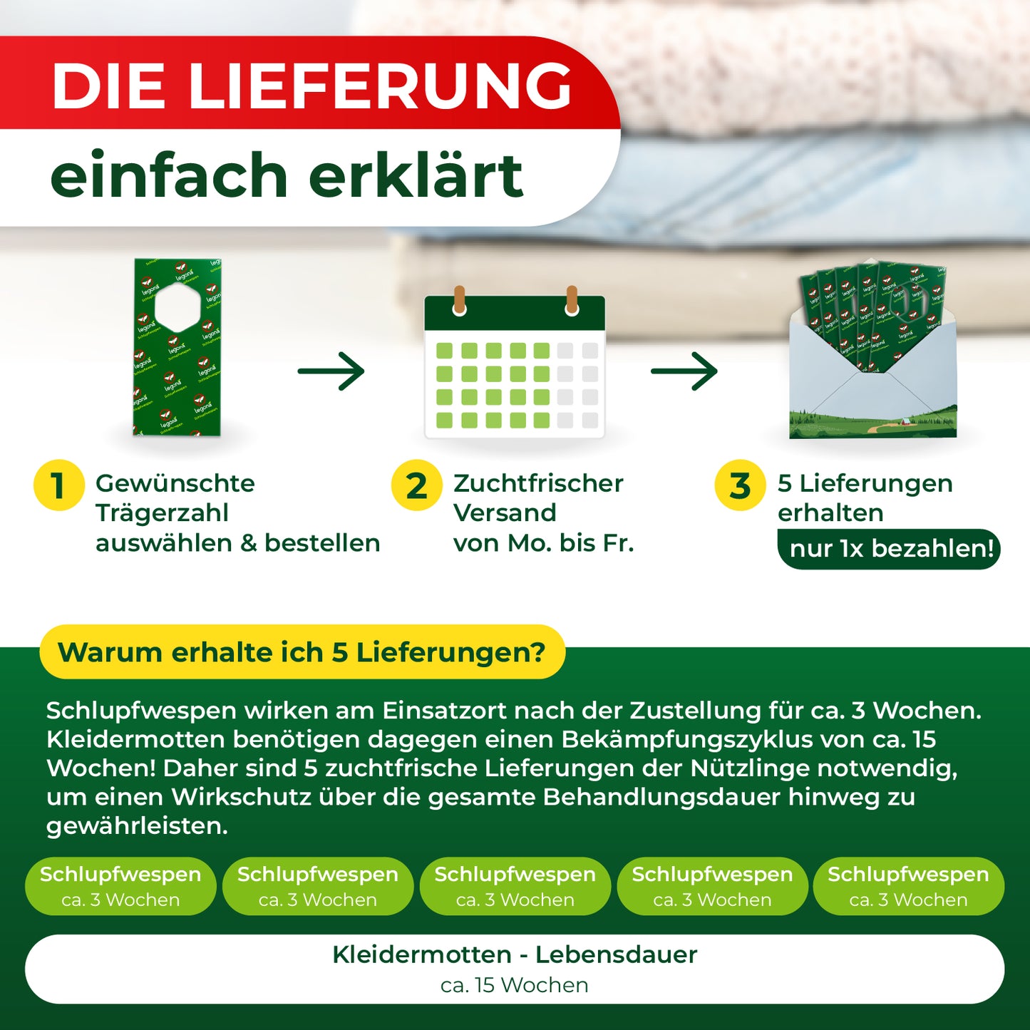 Grafik mit drei Schritten zur Bestellung und Lieferung von Schlupfwespen, darunter Erklärung zur Wirkungsdauer und Lebensdauer von Kleidermotten in Wochen