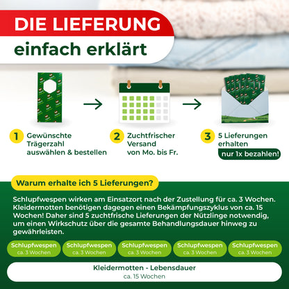 Grafik mit drei Schritten zur Bestellung und Lieferung von Schlupfwespen, darunter Erklärung zur Wirkungsdauer und Lebensdauer von Kleidermotten in Wochen