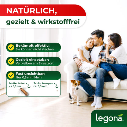 Familie mit zwei Kindern und Hund sitzt auf weißem Sofa in hellem Wohnzimmer neben Textbox mit Informationen zu Schlupfwespen und Mottenfaltern
