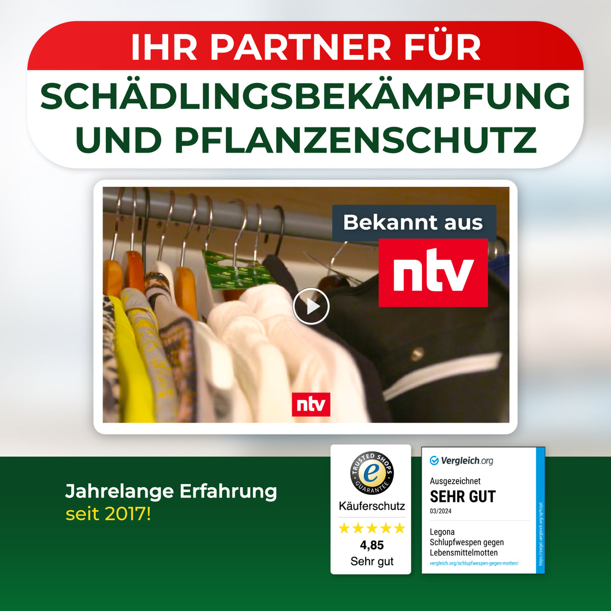 Schlupfwespen gegen Kleidermotten