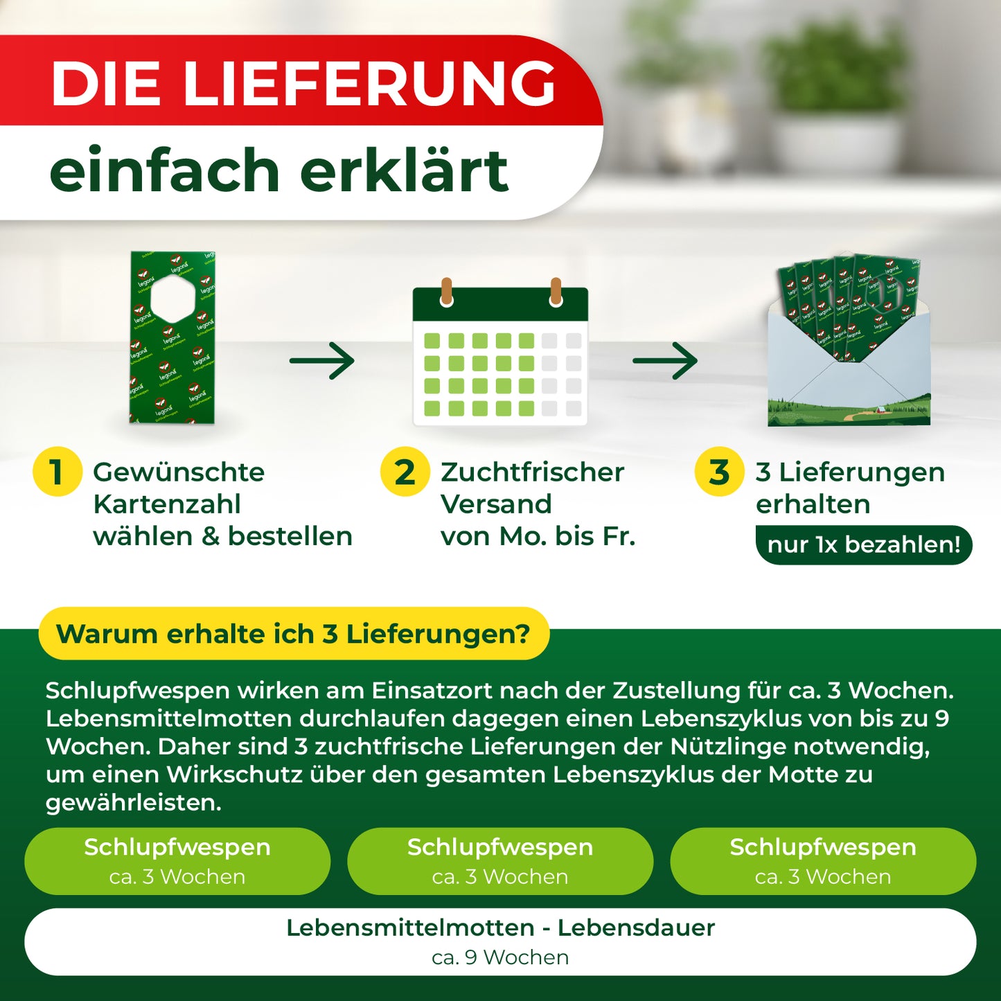 Grafik mit drei Schritten zur Lieferung von Schlupfwespen: 1 Gewünschte Trägerzahl auswählen und bestellen, 2 Zuchtfrischer Versand von Montag bis Freitag, 3 Drei Lieferungen erhalten und nur einmal bezahlen, darunter Erklärung zur Wirksamkeit über drei Wochen und Lebenszyklus von Lebensmittelmotten.