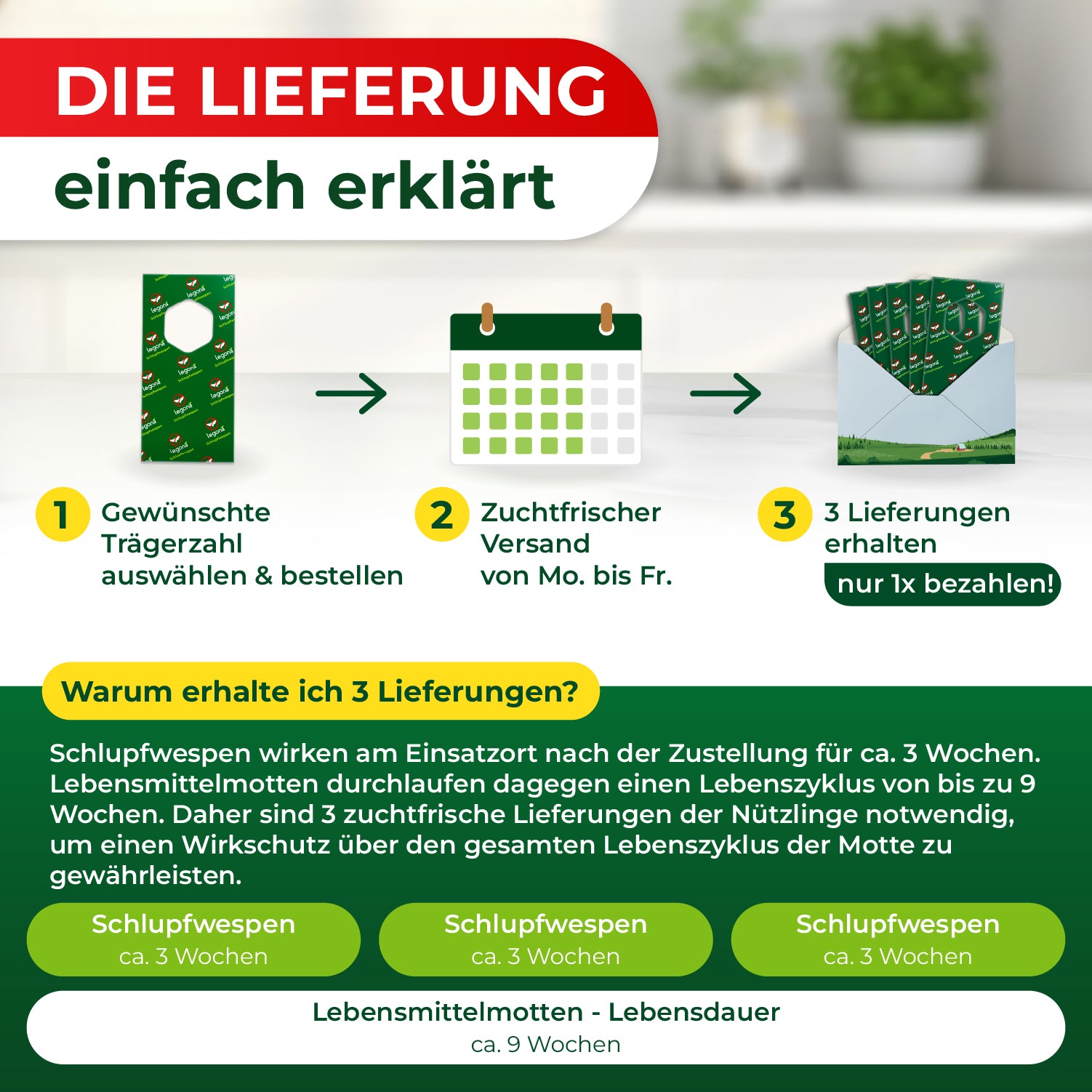 Grafik mit drei Schritten zur Lieferung von Schlupfwespen: 1 Gewünschte Trägerzahl auswählen und bestellen, 2 Zuchtfrischer Versand von Montag bis Freitag, 3 Drei Lieferungen erhalten und nur einmal bezahlen, darunter Erklärung zur Wirksamkeit über drei Wochen und Lebenszyklus von Lebensmittelmotten.