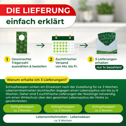 Schlupfwespen gegen Lebensmittelmotten