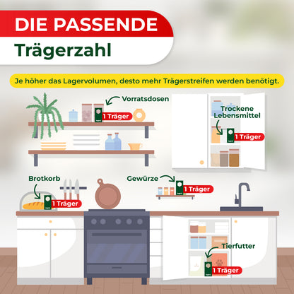 Küchenzeile mit Herd, Schränken, Regalen und Beschriftungen zu passenden Trägerzahlen für Vorratsdosen, trockene Lebensmittel, Brot, Gewürze und Tierfutter