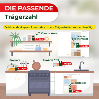 Schlupfwespen gegen Lebensmittelmotten