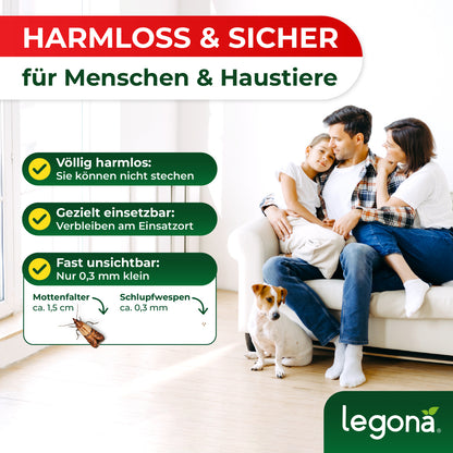 Familie mit einem Kind und Hund sitzt auf Sofa, daneben Infokasten mit Text "Harmlos & Sicher - für Menschen & Haustiere" und Schlupfwespen Größenvergleich zu Mottenfaltern