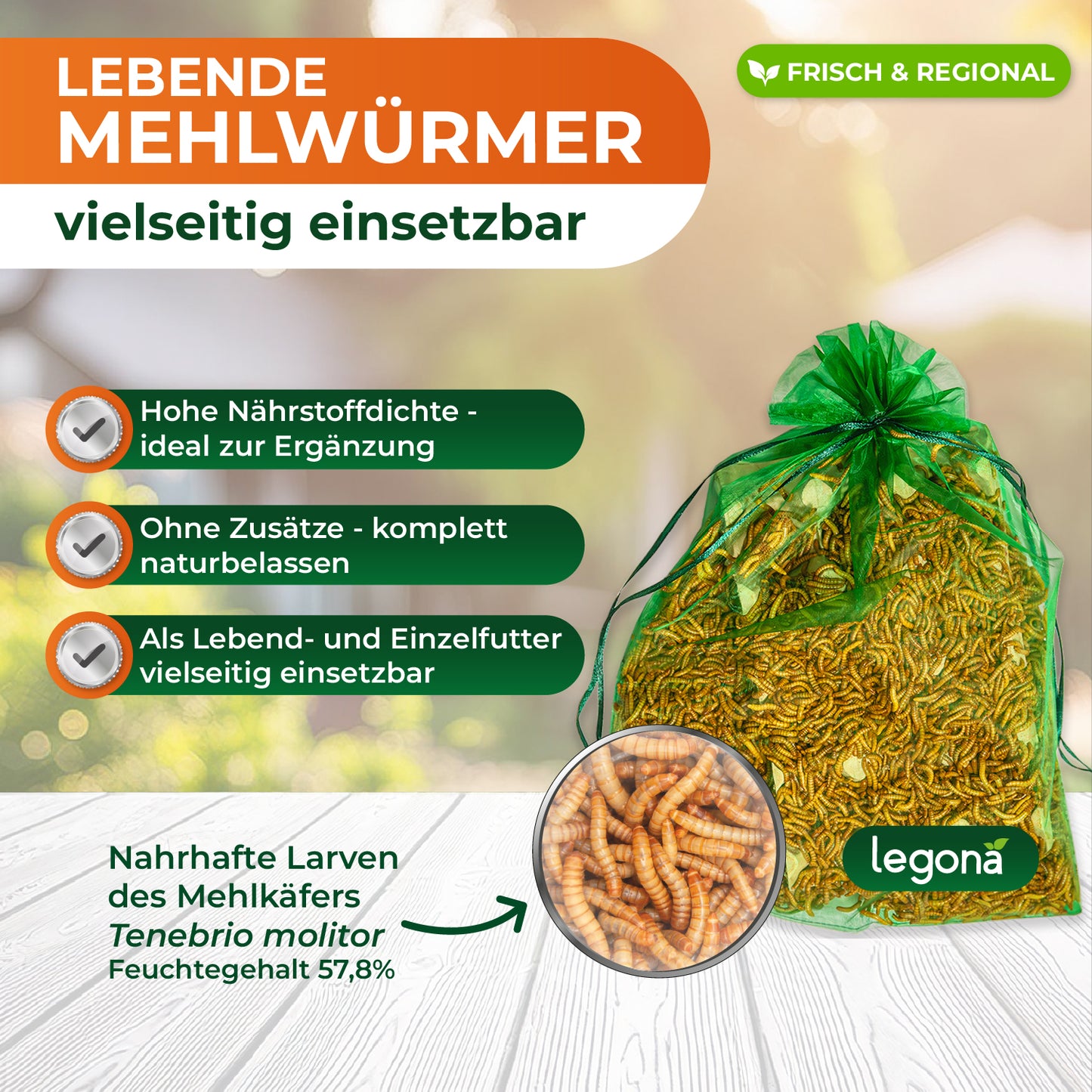 Grüner Netzbeutel mit lebenden Mehlwürmern auf Holzuntergrund und Text zu Nährstoffdichte, Naturbelassenheit und Einsatzmöglichkeiten