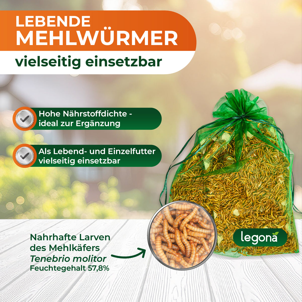 Lebende Mehlwürmer