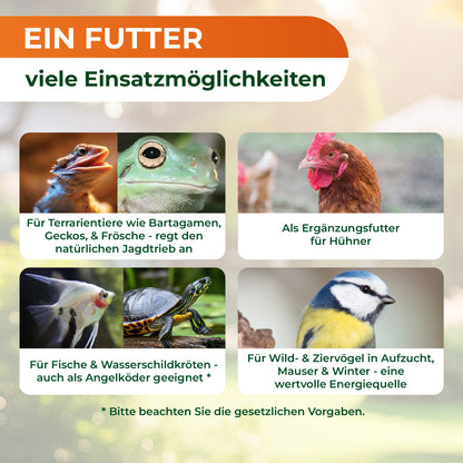 Sechs Fotos mit Texten zu vielseitig einsetzbarem Futter für verschiedene Tierarten: Echse, Frosch, Huhn, Fisch, Schildkröte und Vogel