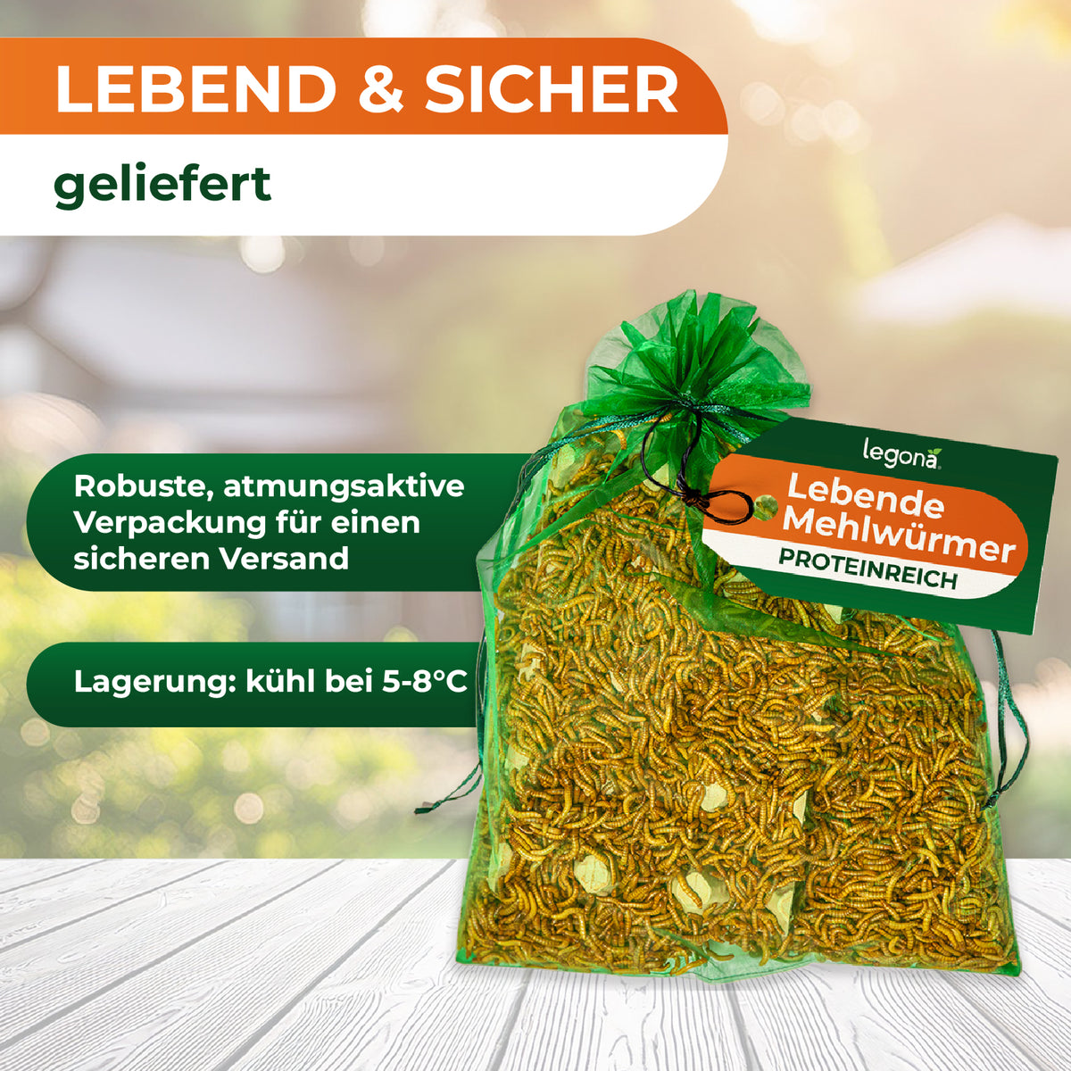 Lebende Mehlwürmer