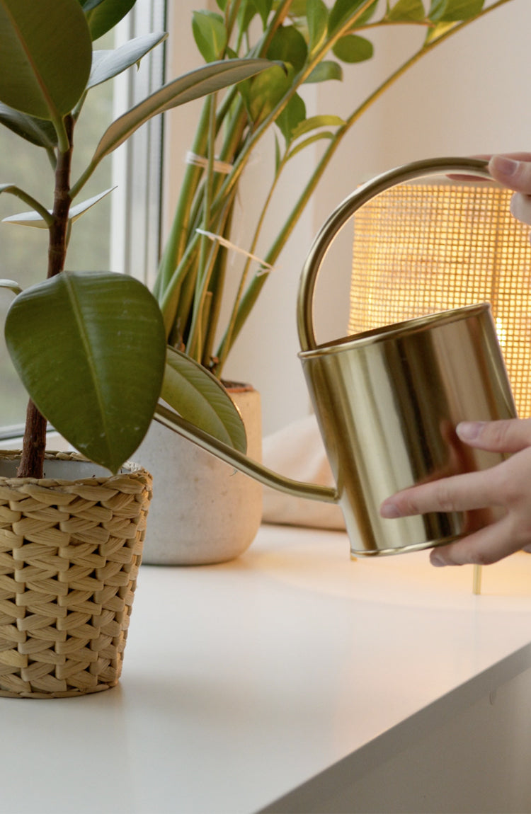 Hand hält goldfarbenes Gießkännchen und gießt Pflanze in geflochtenem Korb auf weißer Oberfläche mit weiteren Pflanzen im Hintergrund
