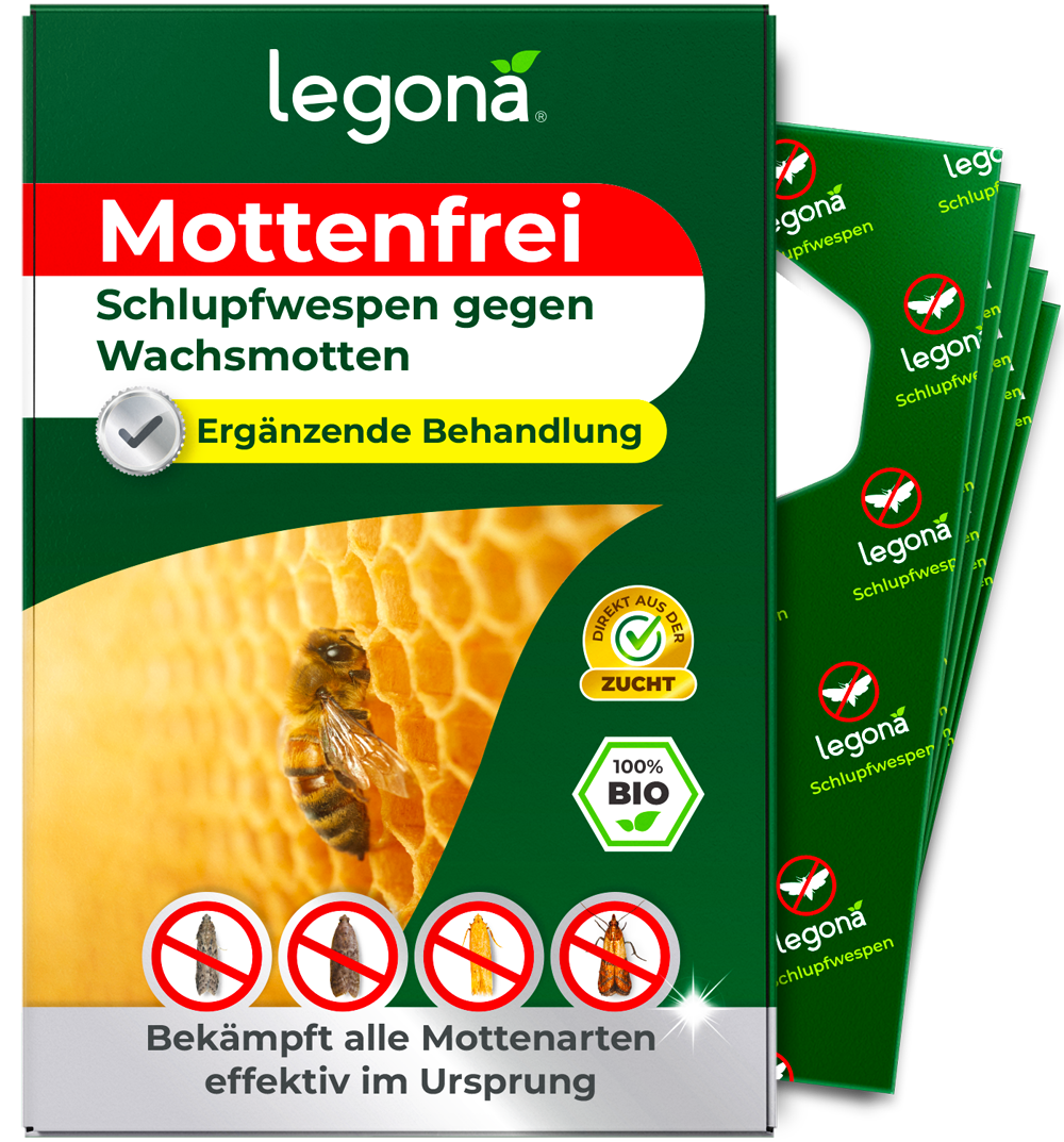 Verackung des Produkts 'Legona Mottenfrei' Schlupfwespen gegen Wachsmotten mit gelbem Wabenmuster und dem Hinweis: Ergänzende Behandlung