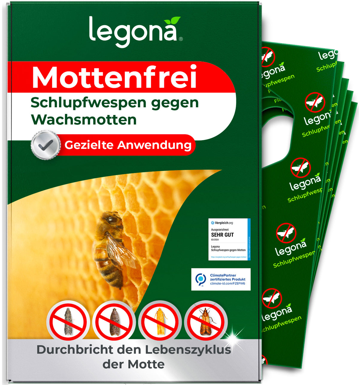 Schlupfwespen gegen Wachsmotten