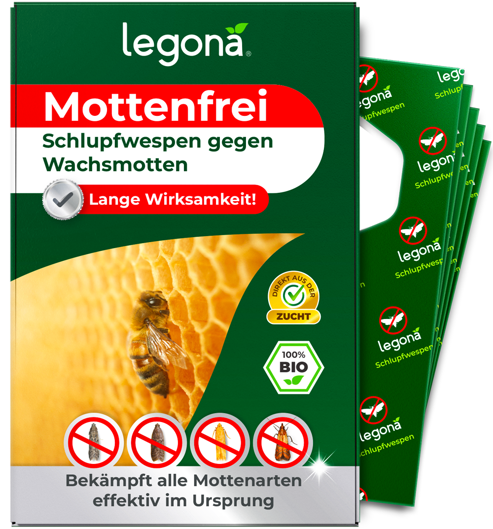 Verackung des Produkts 'Legona Mottenfrei' Schlupfwespen gegen Wachsmotten mit gelbem Wabenmuster