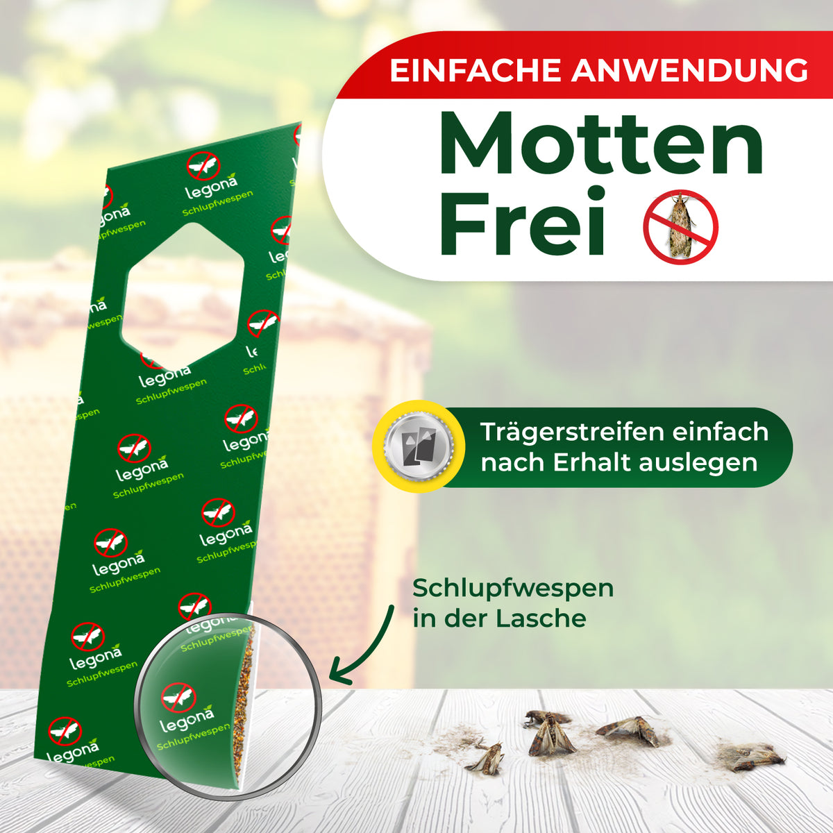 Schlupfwespen gegen Wachsmotten