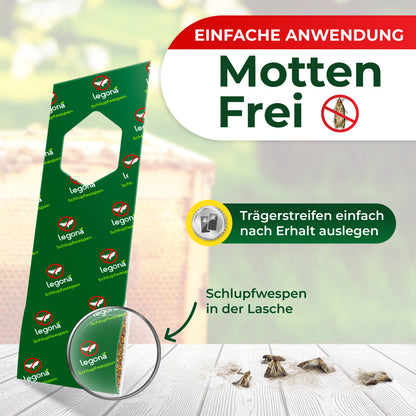 Schlupfwespen gegen Wachsmotten