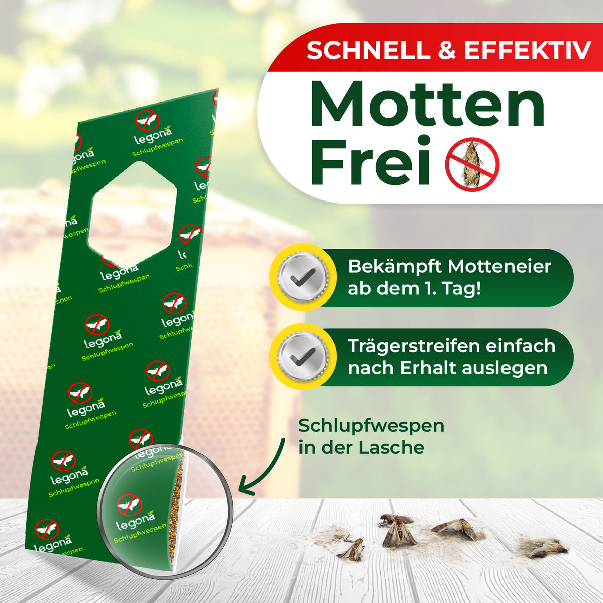 Verpackung mit grünem Trägerstreifen und Aufdruck 'legona Schlupfwespen' mit hervorgehobener Lasche und Text 'Schnell & effektiv Motten Frei' sowie Hinweisen zur Anwendung gegen Motteneier