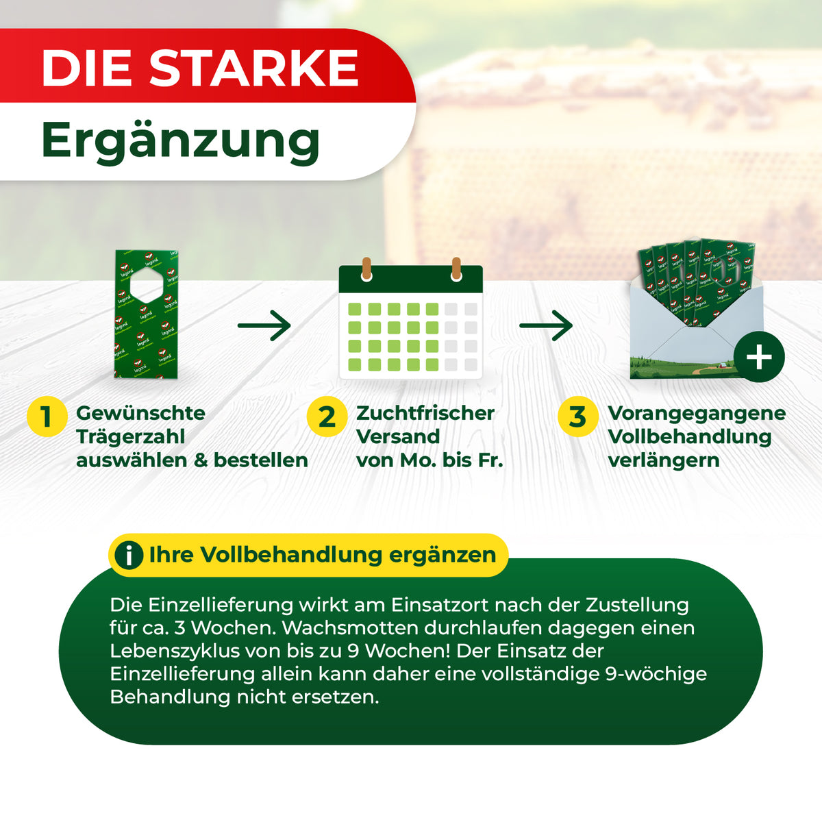 Grafik mit drei Schritten zur Bestellung und Anwendung von Wachsmotten-Schlupfwespen, darunter Text zur Ergänzung der Vollbehandlung über neun Wochen