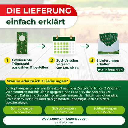 Schlupfwespen gegen Wachsmotten