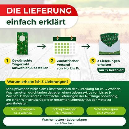 Infografik erklärt die Lieferung von Schlupfwespen in drei Schritten mit Texten zu Trägerzahl auswählen, Versandzeit und drei Lieferungen, ergänzt durch Zeitachsen für Schlupfwespen und Wachsmottenlebensdauer.