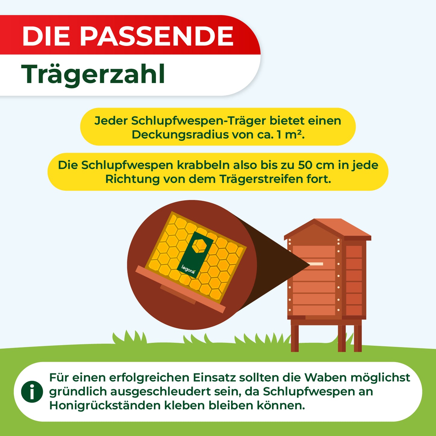 Schlupfwespen gegen Wachsmotten