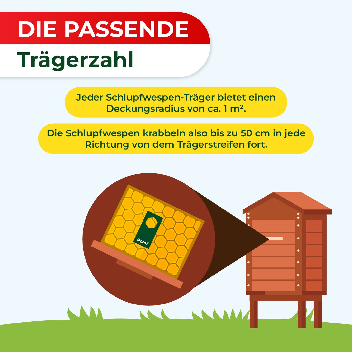 Illustration eines Bienenstocks mit Vergrößerung auf einen Trägerstreifen auf einer Honigwabe und Text in gelben Sprechblasen über die Reichweite von Schlupfwespen-Trägern