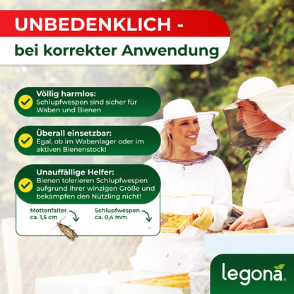 Schlupfwespen gegen Wachsmotten