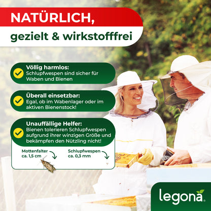Zwei Imker in Schutzkleidung halten Bienenwaben vor einem Text mit Stichpunkten zu Schlupfwespen als natürliche, wirkstofffreie Helfer gegen Motten