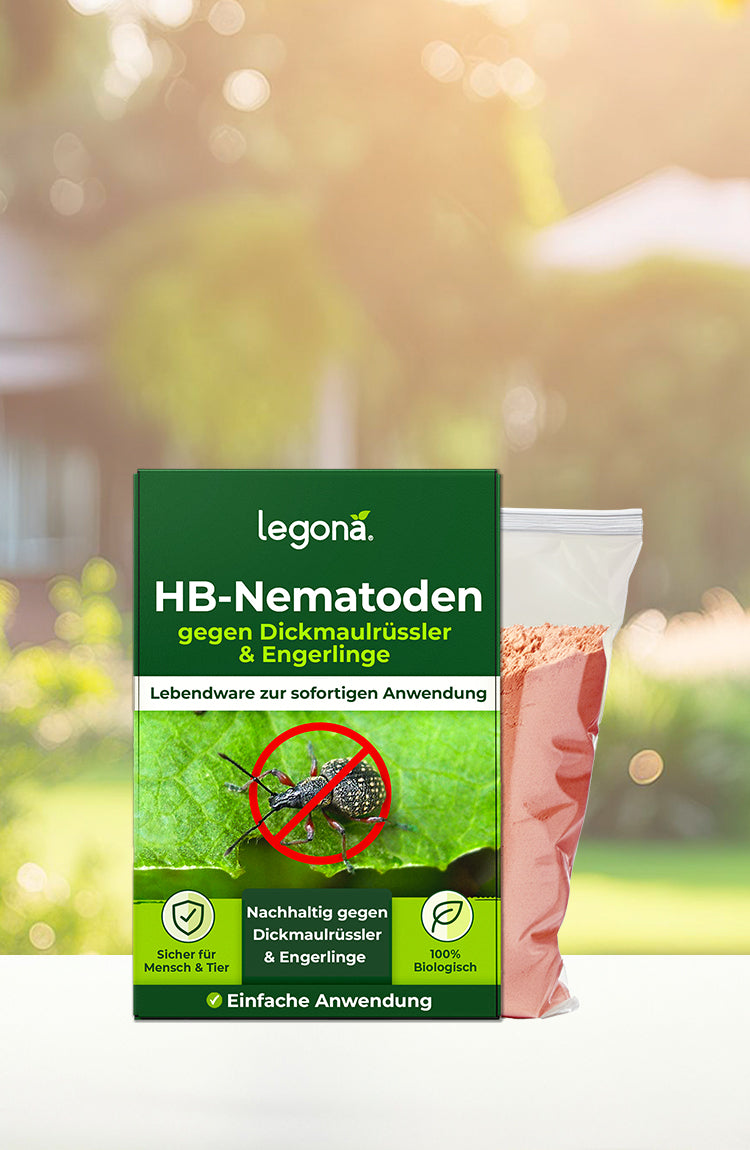 Legona HB-Nematoden zur biologischen Bekämpfung von Dickmaulrüssler und Engerlingen mit Anwendungshinweisen