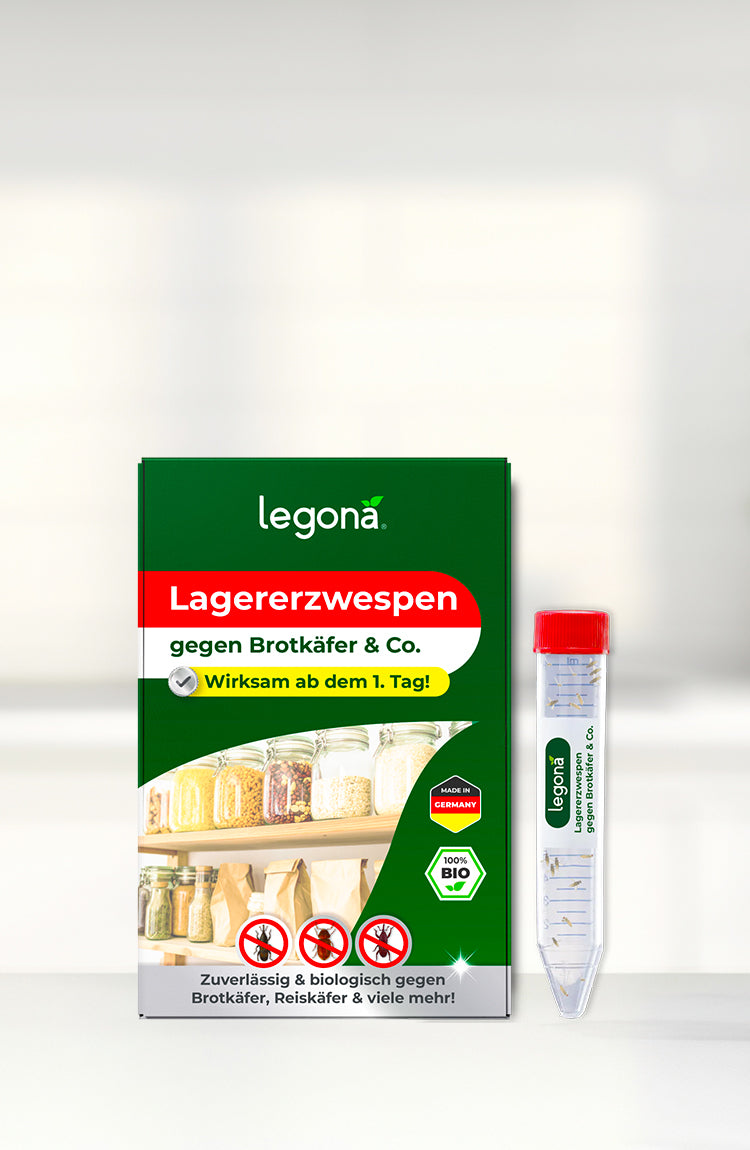 Verpackung und Versandröhrchen des Produkts "Legona Lagererzwespen" gegen Brotkäfer auf hellem Hintergrund