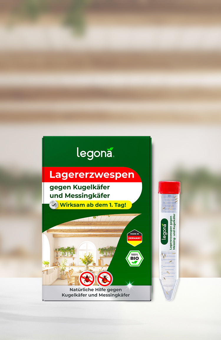 Verpackung und Versandröhrchen des Produkts "Legona Lagererzwespen" gegen Kugel- und Messingkäfer vor unscharfem Küchen-Hintergrund