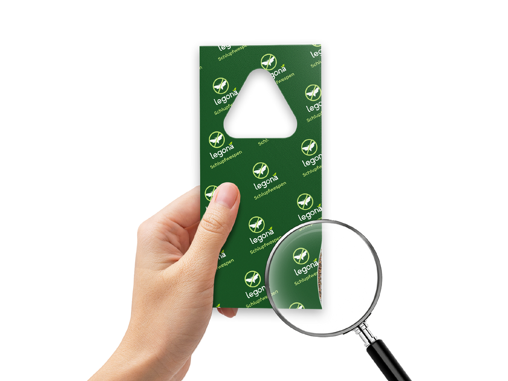 Hand hält grüne Legona Schlupfwespenkarte mit Aussparung zum Aufhängen mit Lupe, die das Logo vergrößert