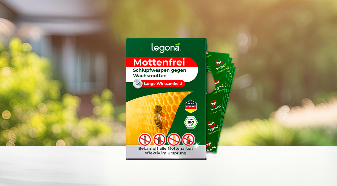 Legona Mottenfrei - Schlupfwespen gegen Wachsmotten - Verpackung zeigt Bienenwabe und Symbole für Sicherheit und Effektivität