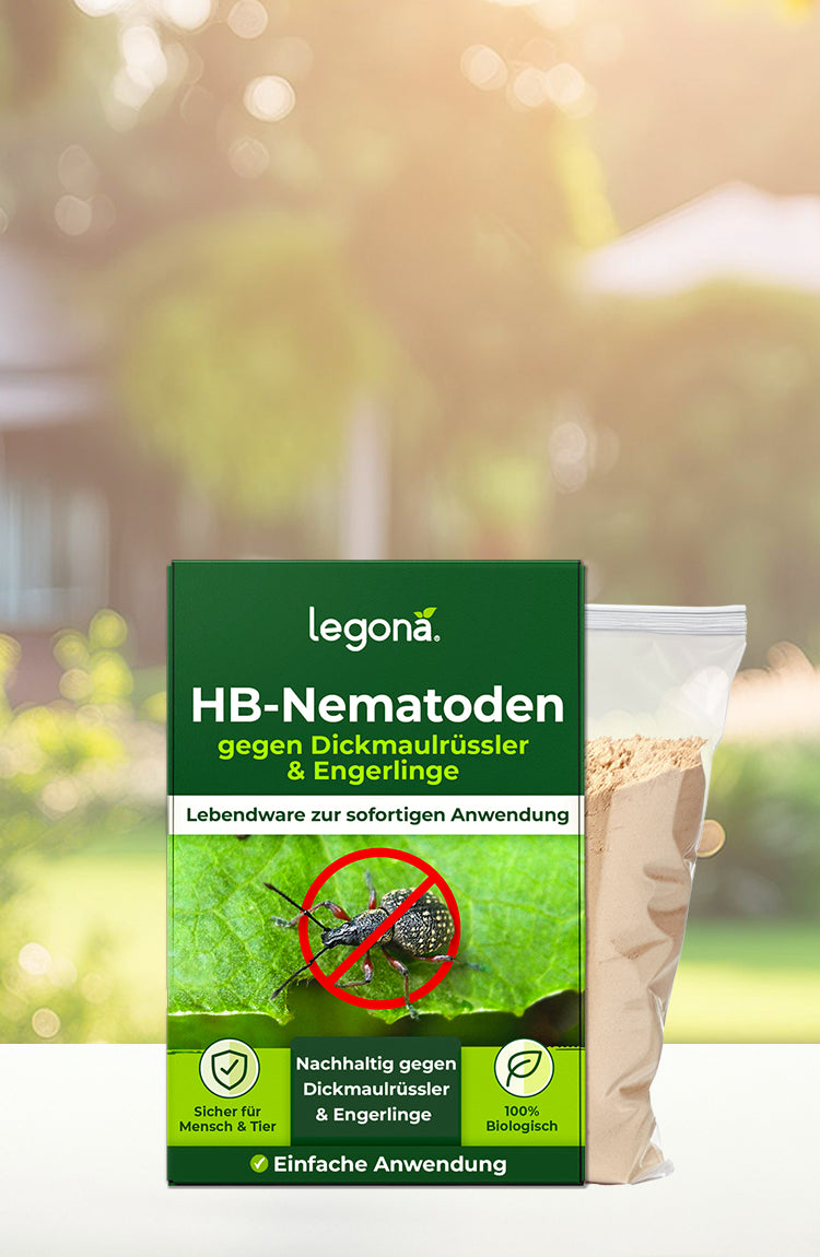 Verpackung von Legona HB-Nematoden gegen Dickmaulrüssler und Engerlinge mit grünem Etikett und Symbolen für nachhaltige Anwendung und einfache Nutzung vor unscharfem Garten-Hintergrund