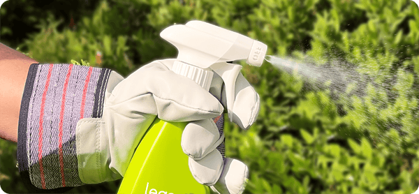 Hand mit Arbeitshandschuh hält grüne Sprühflasche und sprüht Wasser auf grüne Pflanzen im Garten
