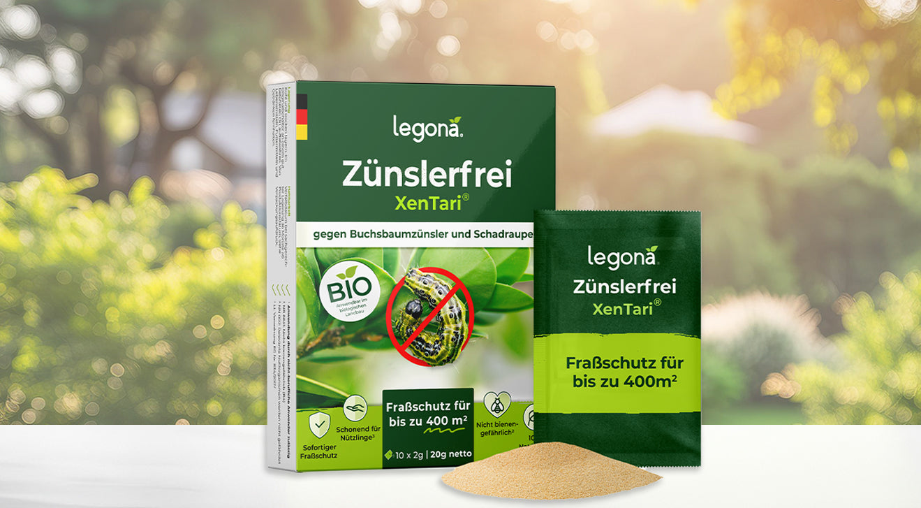 Legona Zünslerfrei XenTari biologisches Produkt gegen Buchsbaumzünsler und Schadraupe, schützt bis zu 400 m²