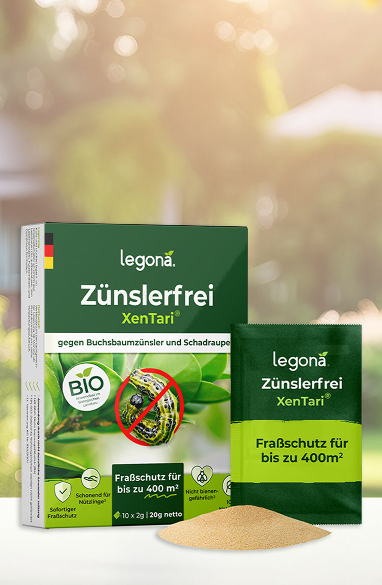 Legona Zünslerfrei XenTari Bio-Insektenschutz gegen Buchsbaumzünsler und Schadraupen, Packung mit Pulver für Fraßschutz bis 400 m²
